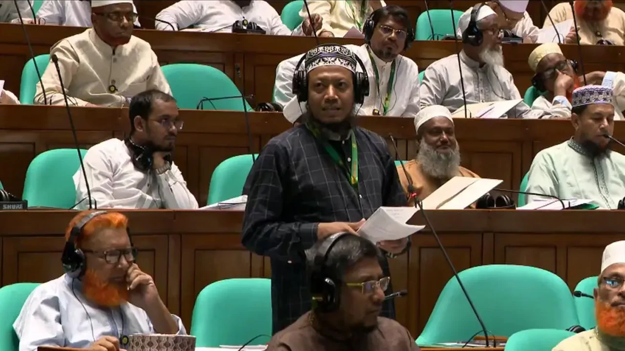 ‘এ বাজেট লুটপাটের বাজেট, শুনতে ভালো কিন্তু ফল উল্টো’-সংসদে আমির হামজা