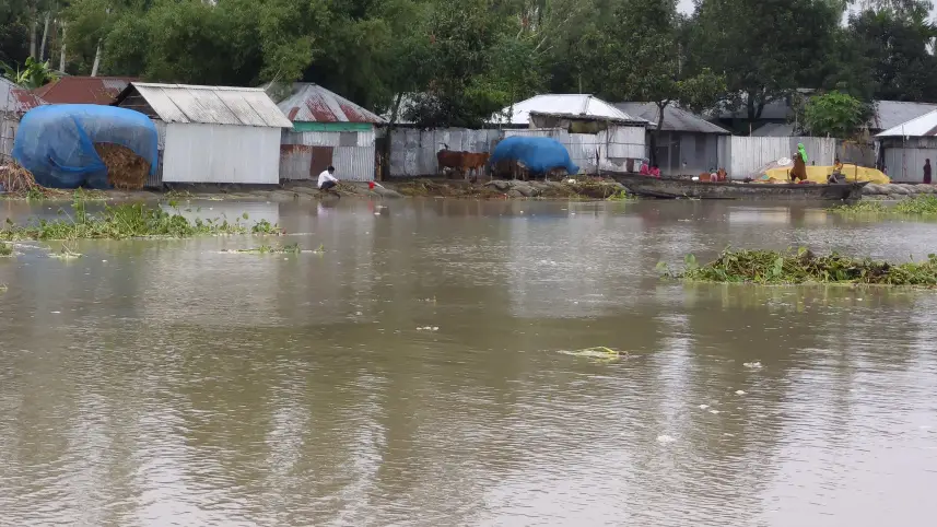 তিস্তার পানি বিপৎসীমার ওপরে, লালমনিরহাটে বন্যা পরিস্থিতির অবনতি