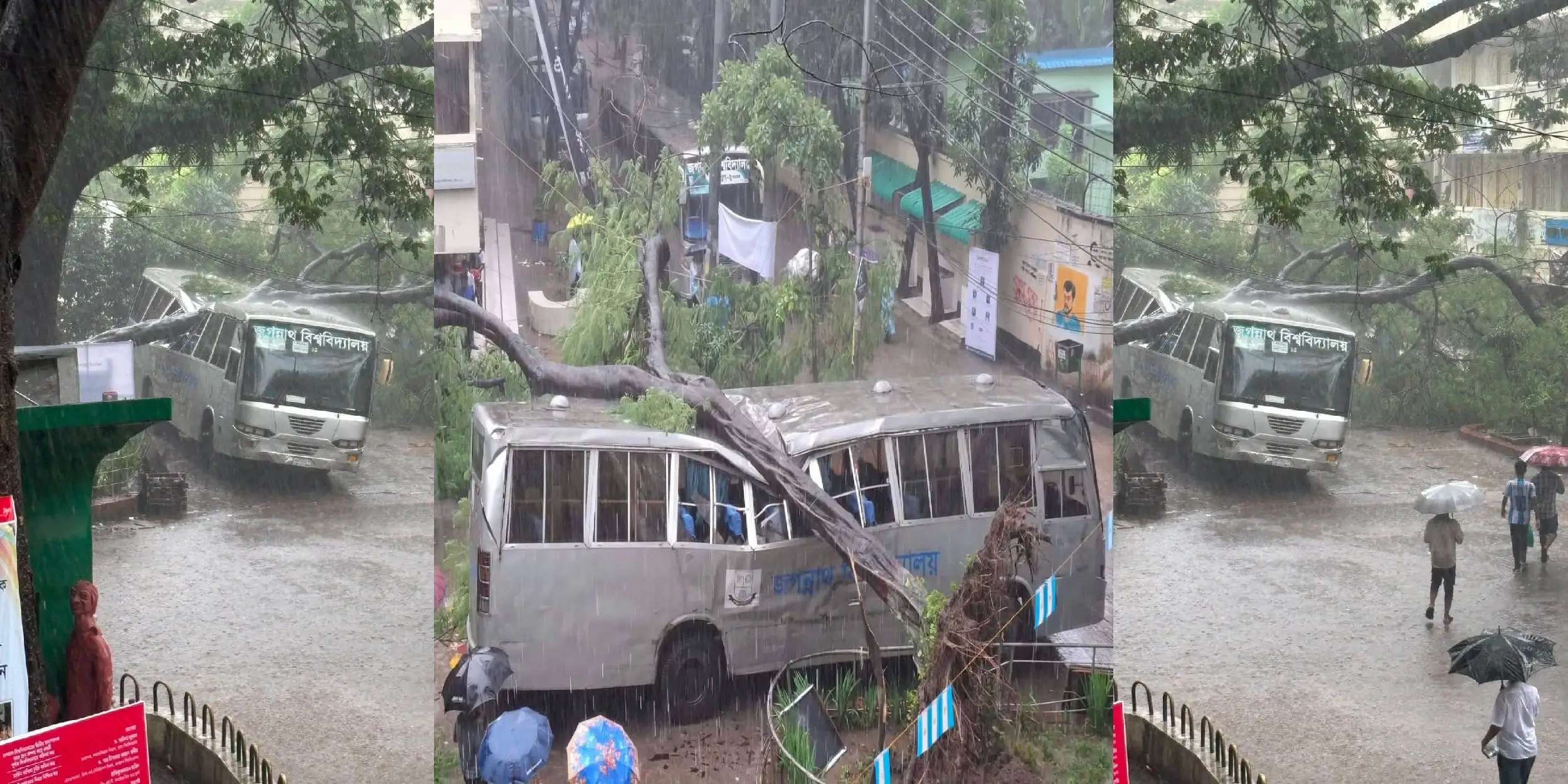 জবি ক্যাম্পাসে বাসের ওপর গাছ উপড়ে ব্যাপক ক্ষয়ক্ষতি, অল্পের জন্য রক্ষা পেলেন শিক্ষার্থী-কর্মচারীরা