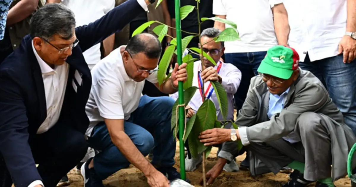 দেশের ২৯ হাজার শিক্ষাপ্রতিষ্ঠানে একযোগে বৃক্ষরোপণ কর্মসূচির উদ্বোধন করবেন প্রধানমন্ত্রী