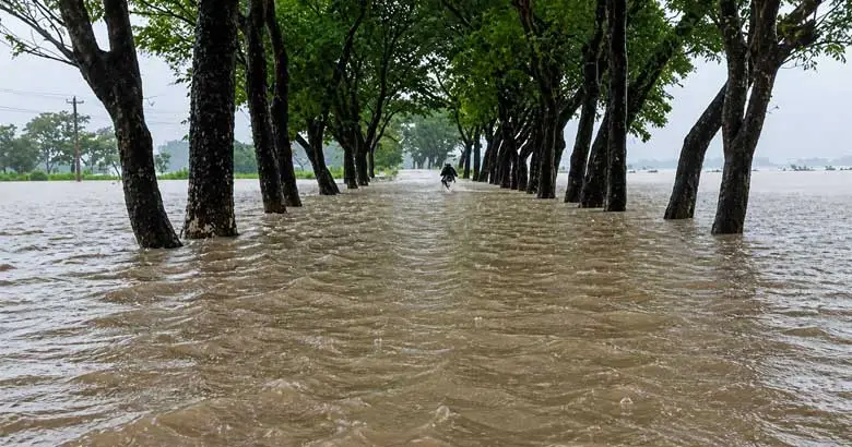 সুরমা-কুশিয়ারায় পানি বৃদ্ধি, সিলেট-সুনামগঞ্জে বন্যা পরিস্থিতির আরও অবনতির শঙ্কা