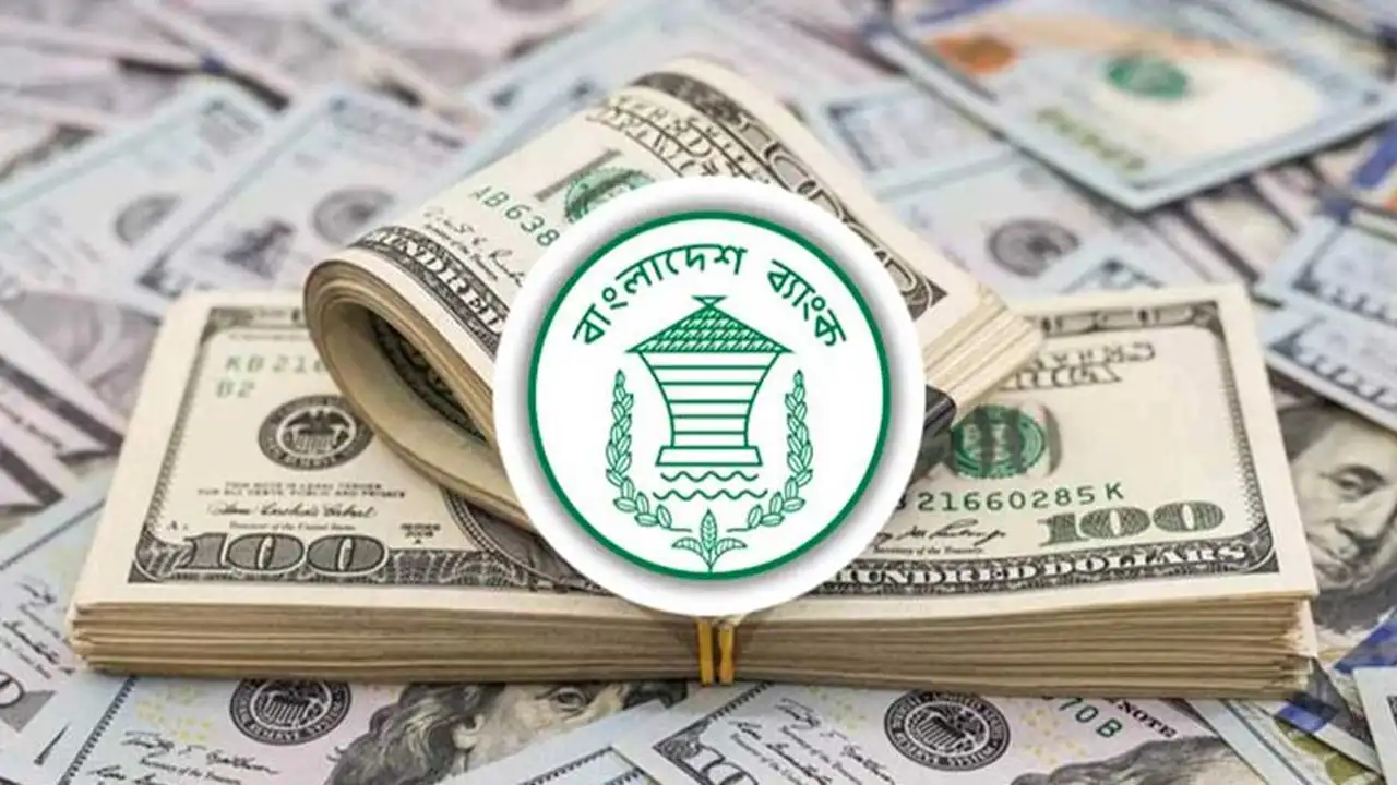 ডিসেম্বরে প্রবাসী আয় বৃদ্ধি, ২৭ দিনে দেশে এসেছে ২৭৫ কোটি ডলার